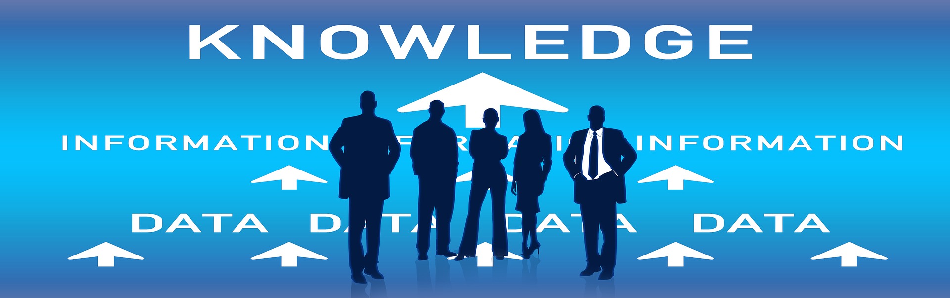 Database Knowledge